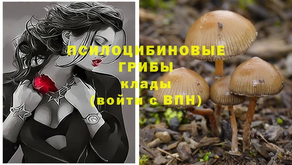 соль курить ск Карталы