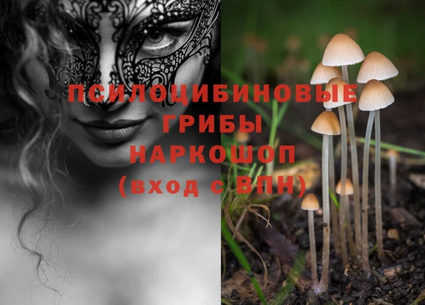 jwh Касимов