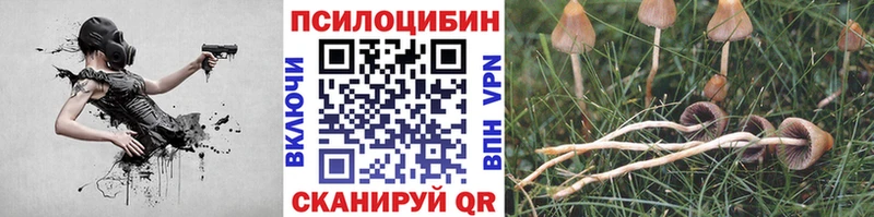 Галлюциногенные грибы мицелий  Купить где  Бородино 