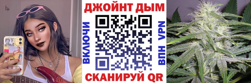 Купить  Бородино  Каннабис VHQ 